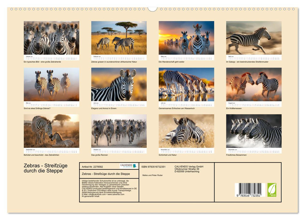 Zebras - Streifzüge durch die Steppe (CALVENDO Premium Wandkalender 2026)