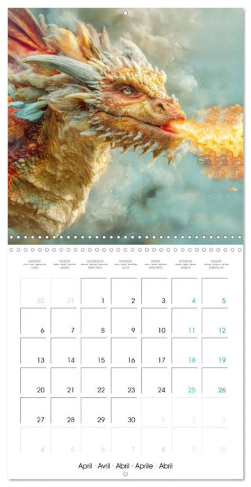 Dragons - A never-ending fascination (CALVENDO Monthly Calendar 2026)