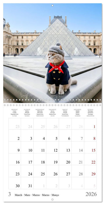 A British Shorthair's Escapes (CALVENDO Monthly Calendar 2026)