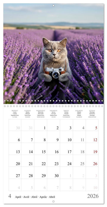 The Grey Lord on grand tour (CALVENDO Monthly Calendar 2026)