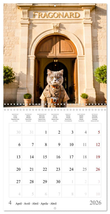 A British Shorthair's Escapes (CALVENDO Monthly Calendar 2026)
