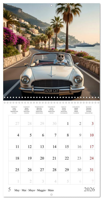 A British Shorthair's Escapes (CALVENDO Monthly Calendar 2026)