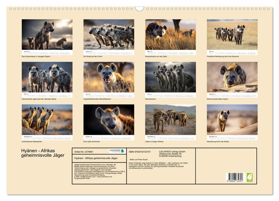 Hyänen - Afrikas geheimnisvolle Jäger (CALVENDO Wandkalender 2026)