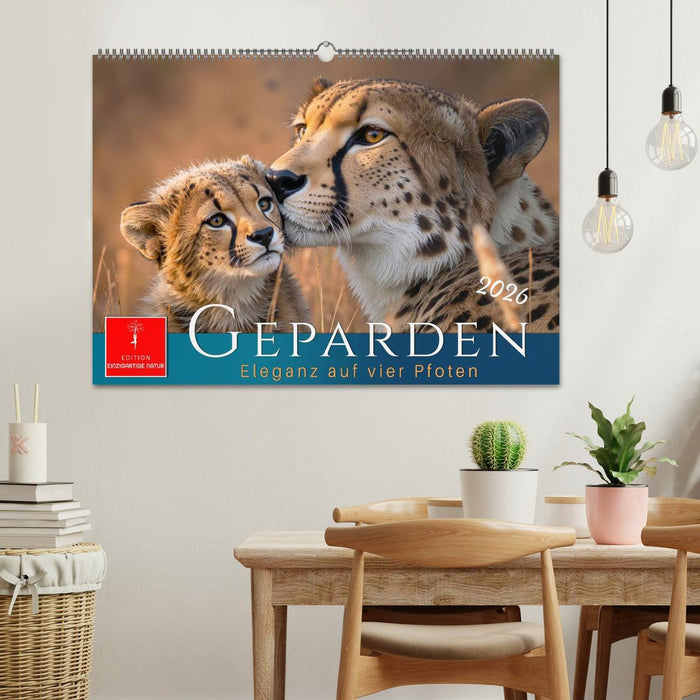 Geparden - Eleganz auf vier Pfoten (CALVENDO Wandkalender 2026)