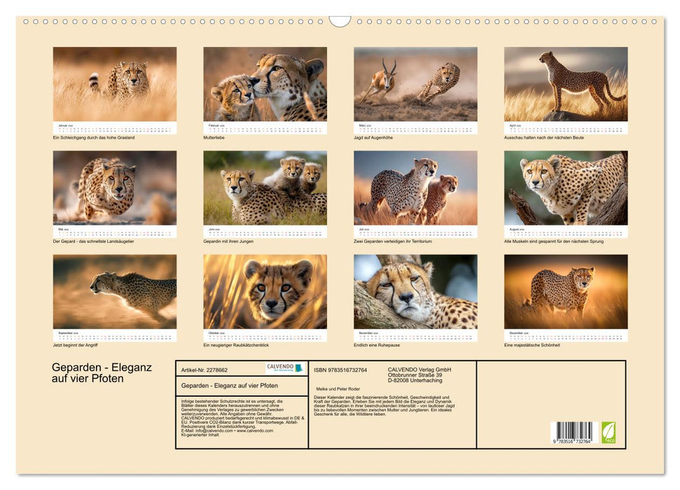 Geparden - Eleganz auf vier Pfoten (CALVENDO Wandkalender 2026)