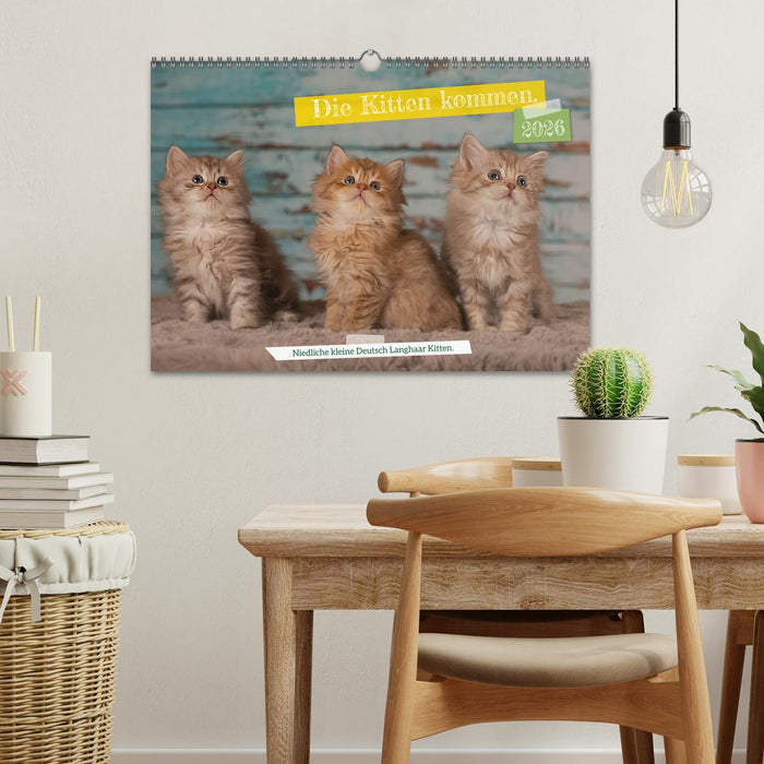 Die Kitten kommen. (CALVENDO Wandkalender 2026)