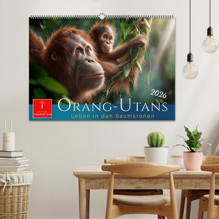Orang Utans - Leben in den Baumkronen (CALVENDO Wandkalender 2026)