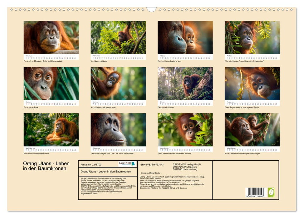 Orang Utans - Leben in den Baumkronen (CALVENDO Wandkalender 2026)