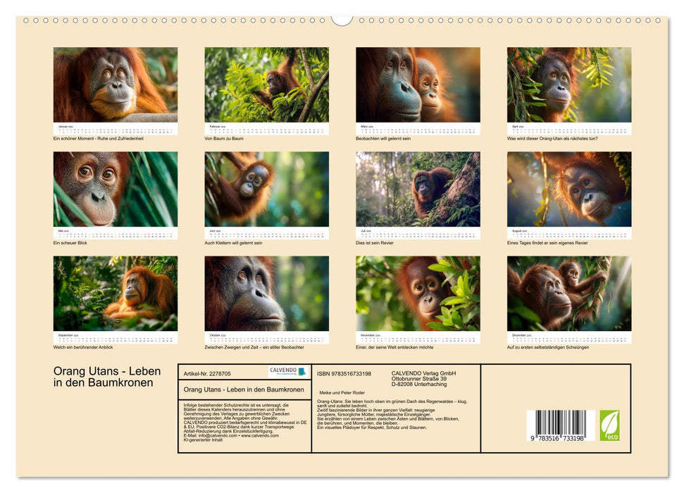 Orang Utans - Leben in den Baumkronen (CALVENDO Premium Wandkalender 2026)