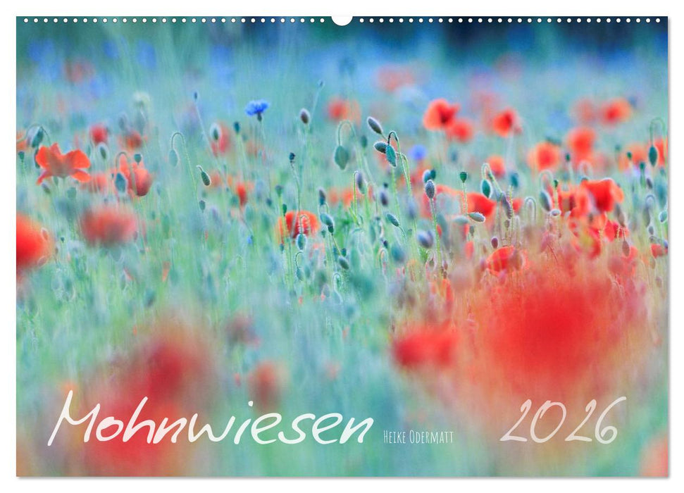 Mohnwiesen (CALVENDO Wandkalender 2026)