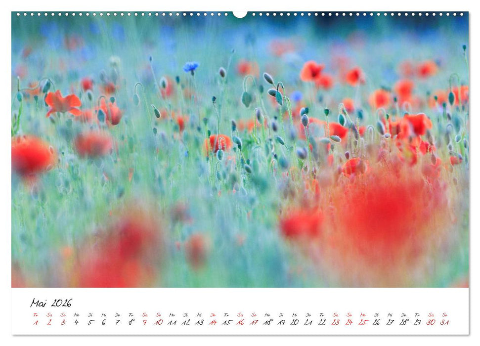 Mohnwiesen (CALVENDO Premium Wandkalender 2026)