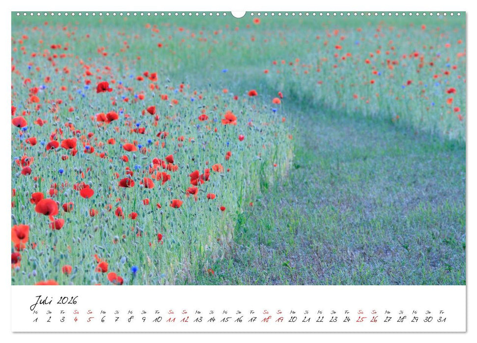 Mohnwiesen (CALVENDO Premium Wandkalender 2026)