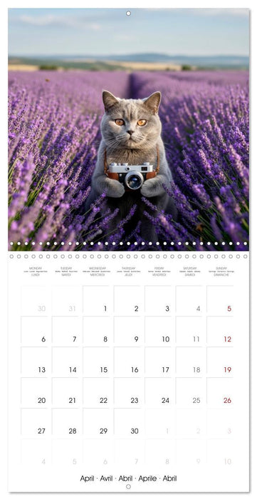 Le duc gris en voyage (CALVENDO Calendrier mensuel 2026)