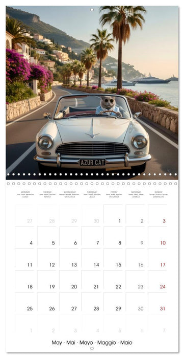 Le duc gris en voyage (CALVENDO Calendrier mensuel 2026)