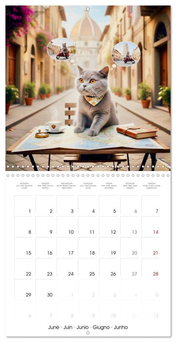 Le duc gris en voyage (CALVENDO Calendrier mensuel 2026)