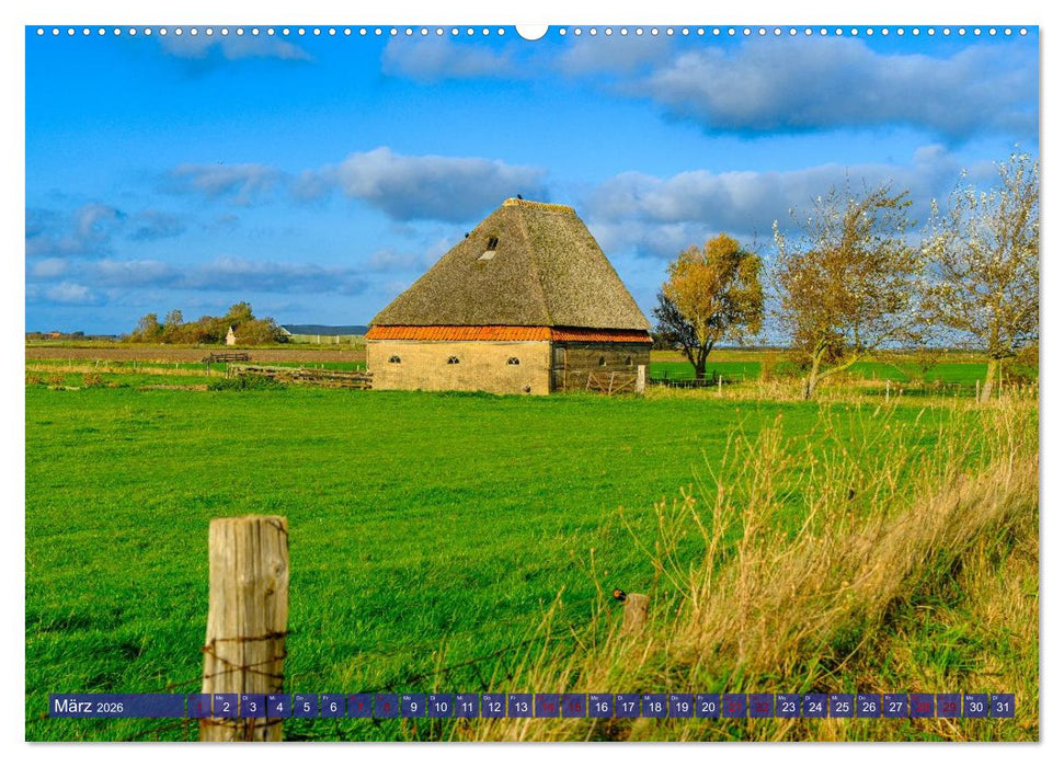 Ein Blick auf die Insel Texel (CALVENDO Wandkalender 2026)