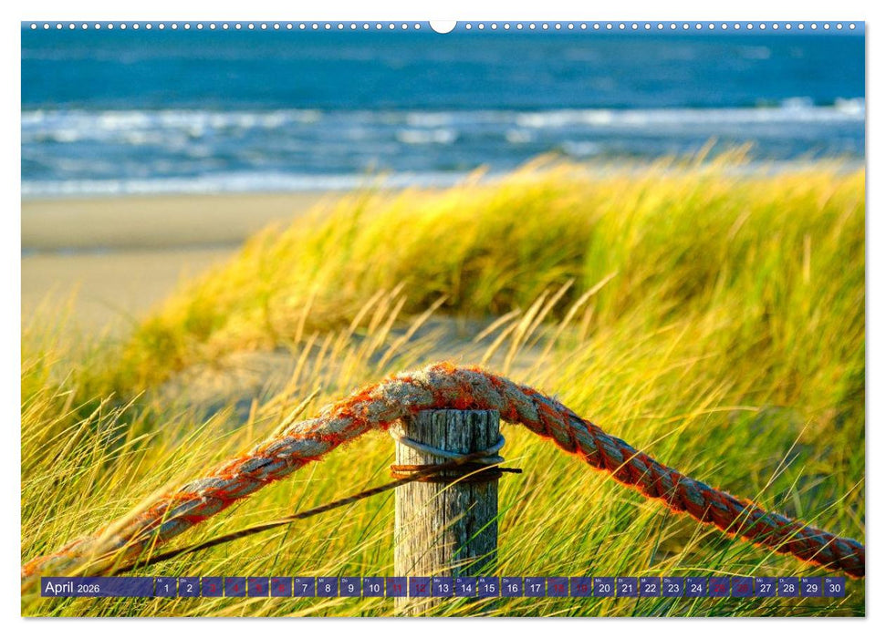Ein Blick auf die Insel Texel (CALVENDO Wandkalender 2026)