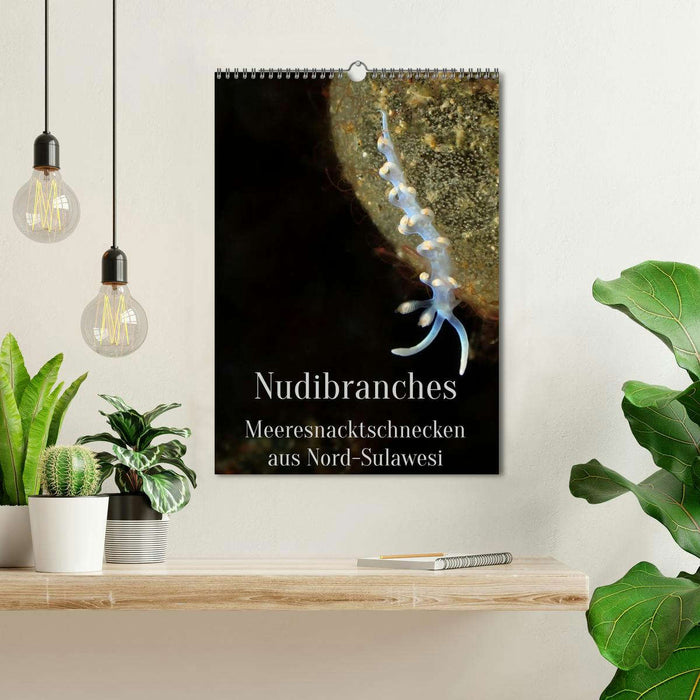 Nudibranches Meeresnacktschnecken aus Nord-Sulawesi (CALVENDO Wandkalender 2026)