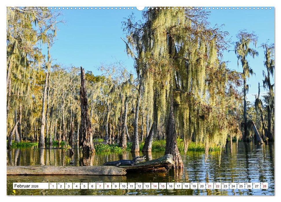 Louisiana - Sümpfe und Plantagenhäuser (CALVENDO Wandkalender 2026)