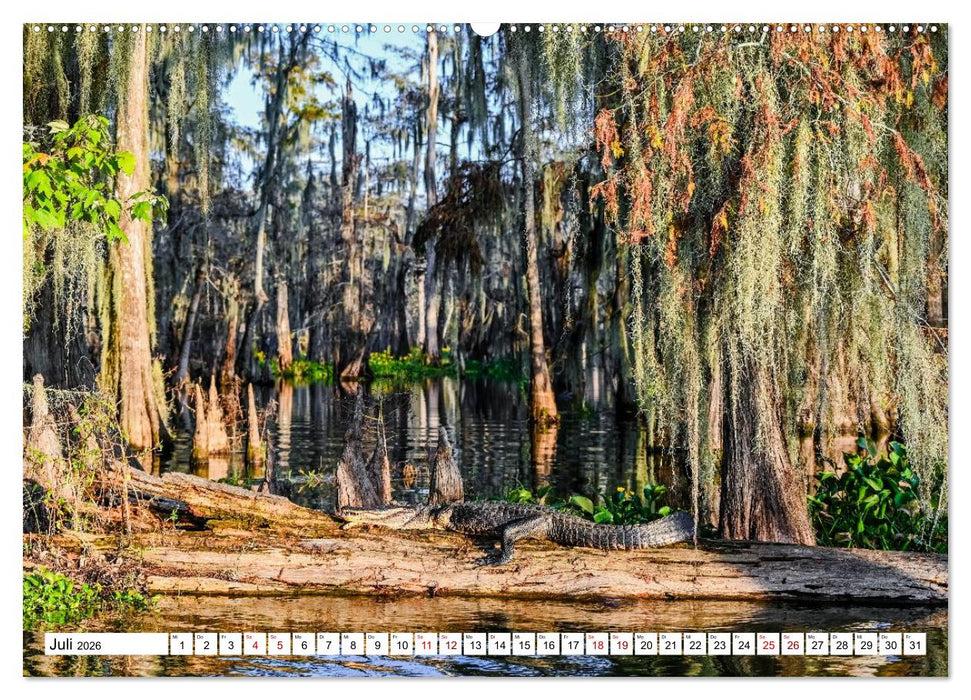 Louisiana - Sümpfe und Plantagenhäuser (CALVENDO Premium Wandkalender 2026)