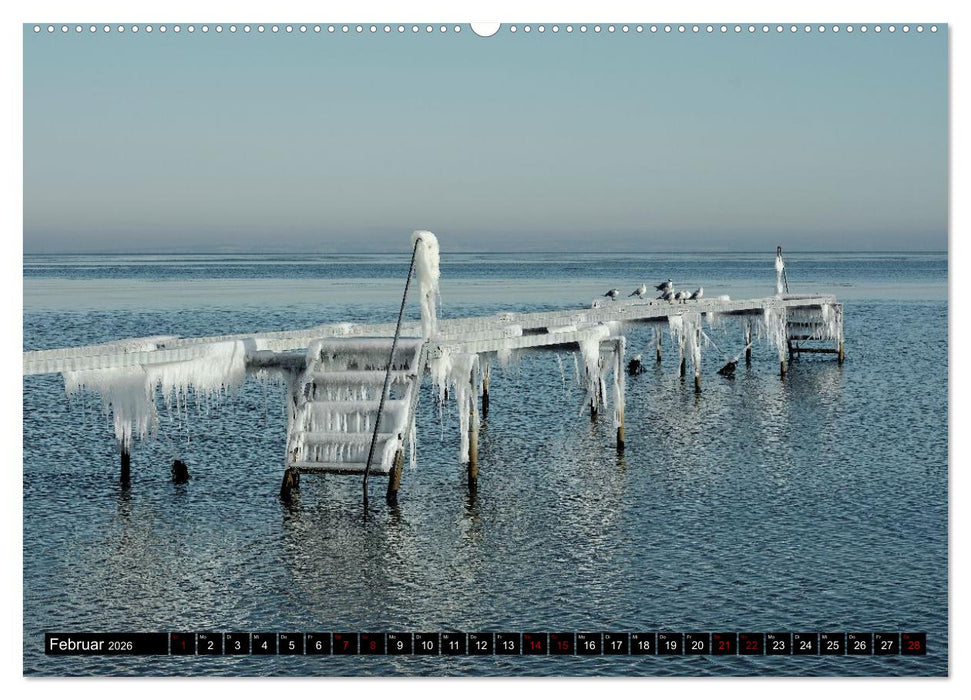 AARHUS, die kleinste Großstadt der Welt (CALVENDO Premium Wandkalender 2026)