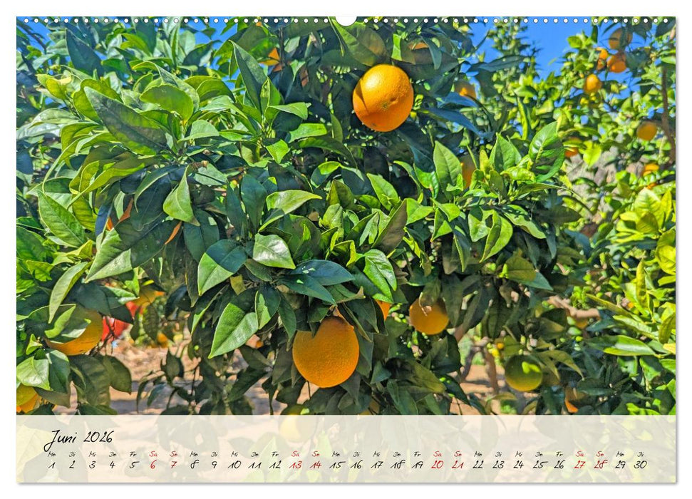 Siziliens Zauber – Von Palermo bis Taormina (CALVENDO Premium Wandkalender 2026)