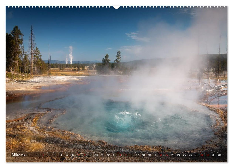 Wild, Wide, West (CALVENDO Premium Wandkalender 2026)