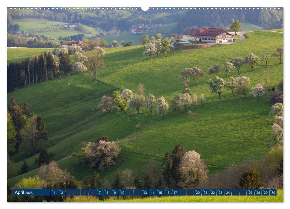 Salzkammergut und Eisenwurzen (CALVENDO Premium Wandkalender 2026)