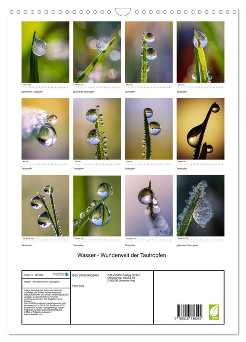 Wasser - Wunderwelt der Tautropfen (CALVENDO Wandkalender 2026)