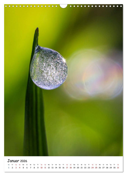 Wasser - Wunderwelt der Tautropfen (CALVENDO Wandkalender 2026)