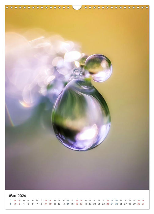 Wasser - Wunderwelt der Tautropfen (CALVENDO Wandkalender 2026)