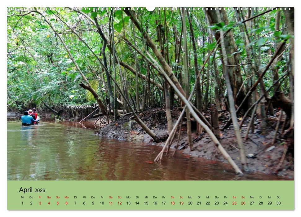 Venezuela - Natur pur Orinoco Delta und die Anden (CALVENDO Wandkalender 2026)