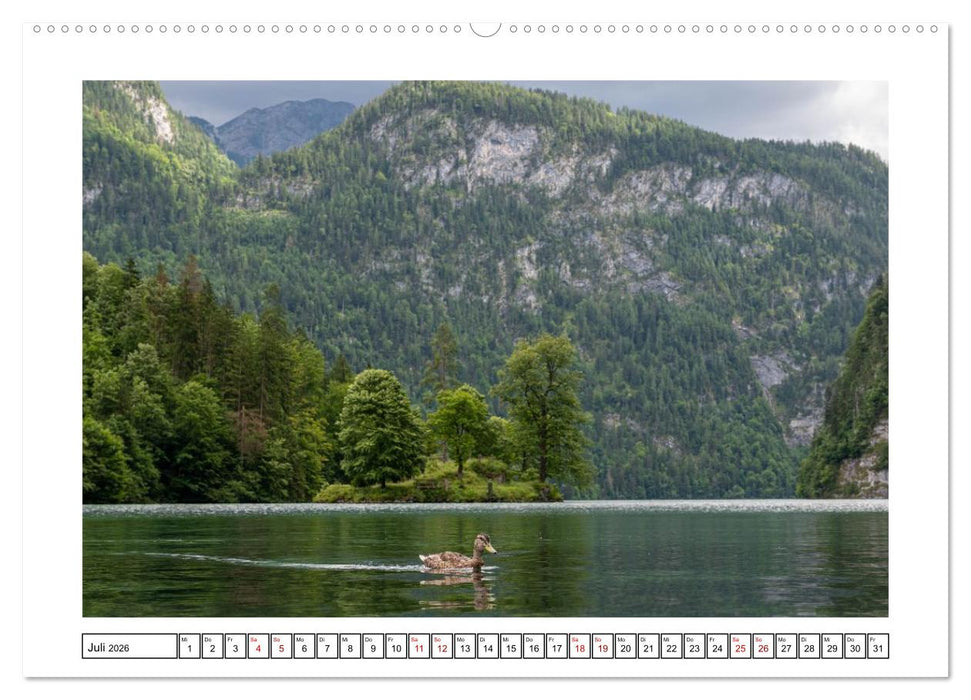Morgen am Königssee - Spiegelungen und Stille (CALVENDO Premium Wandkalender 2026)