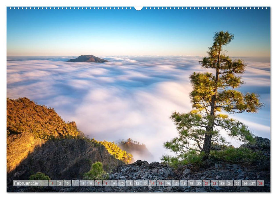 Kanarisch Wild - La Palma (CALVENDO Premium Wandkalender 2026)