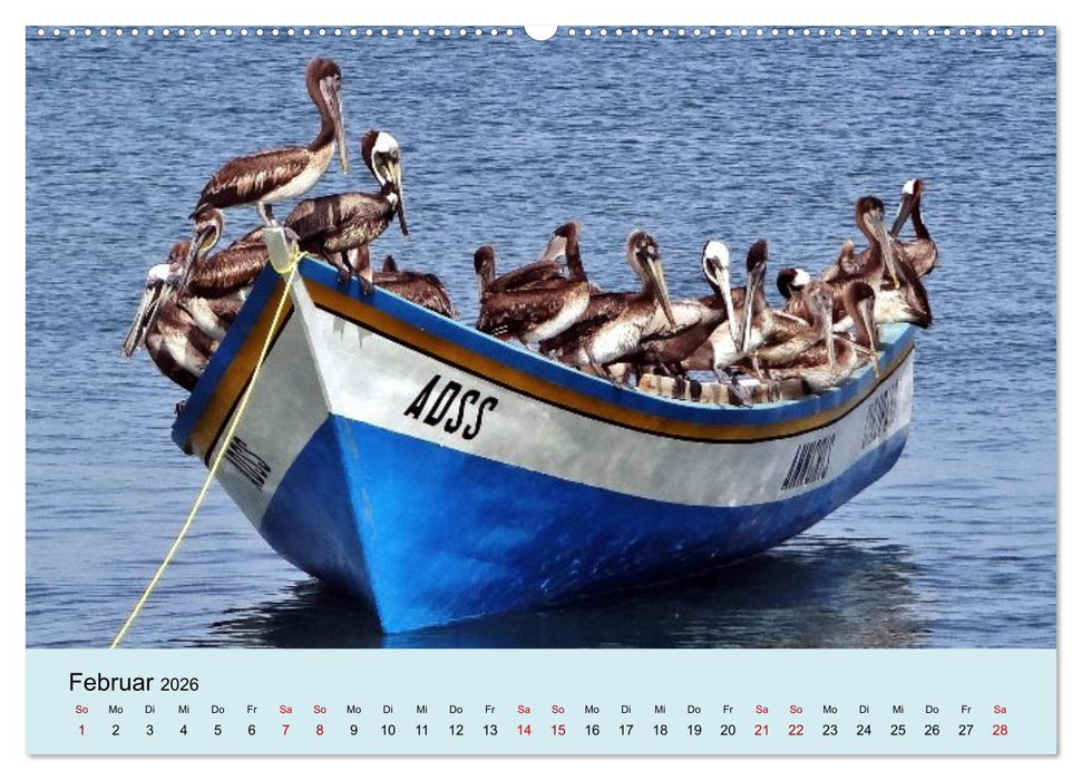 Venezuela - Natur pur Orinoco Delta und die Anden (CALVENDO Premium Wandkalender 2026)