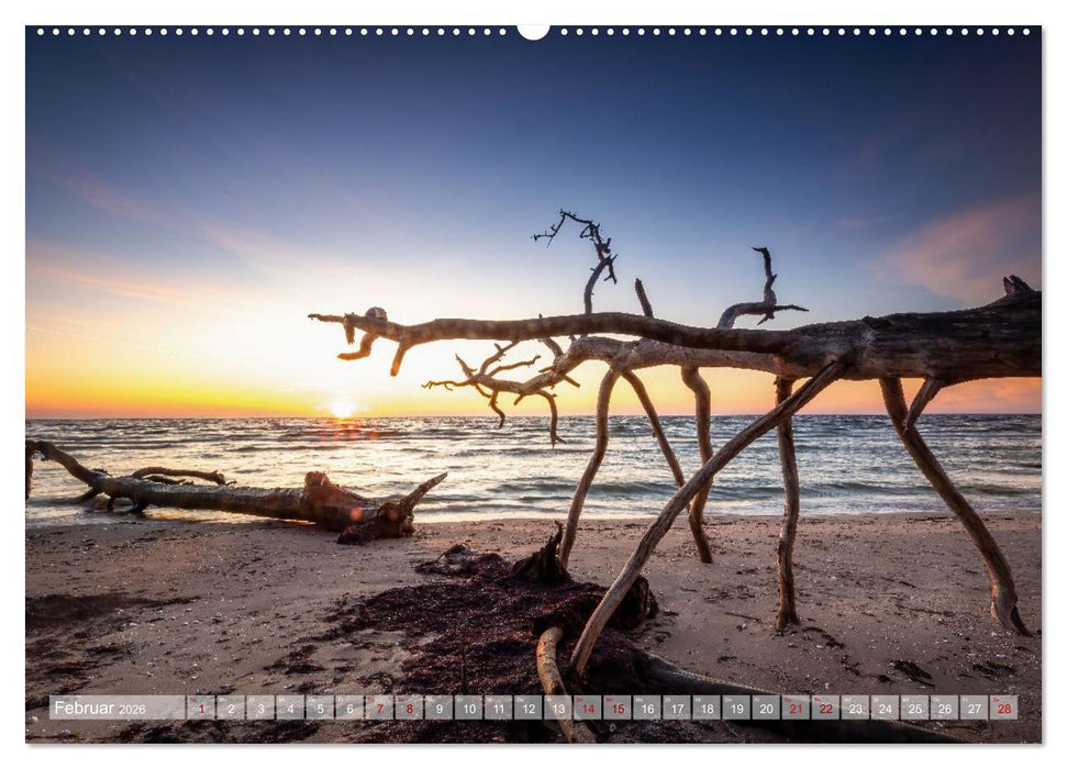 Land. Licht. Meer. (CALVENDO Premium Wandkalender 2026)