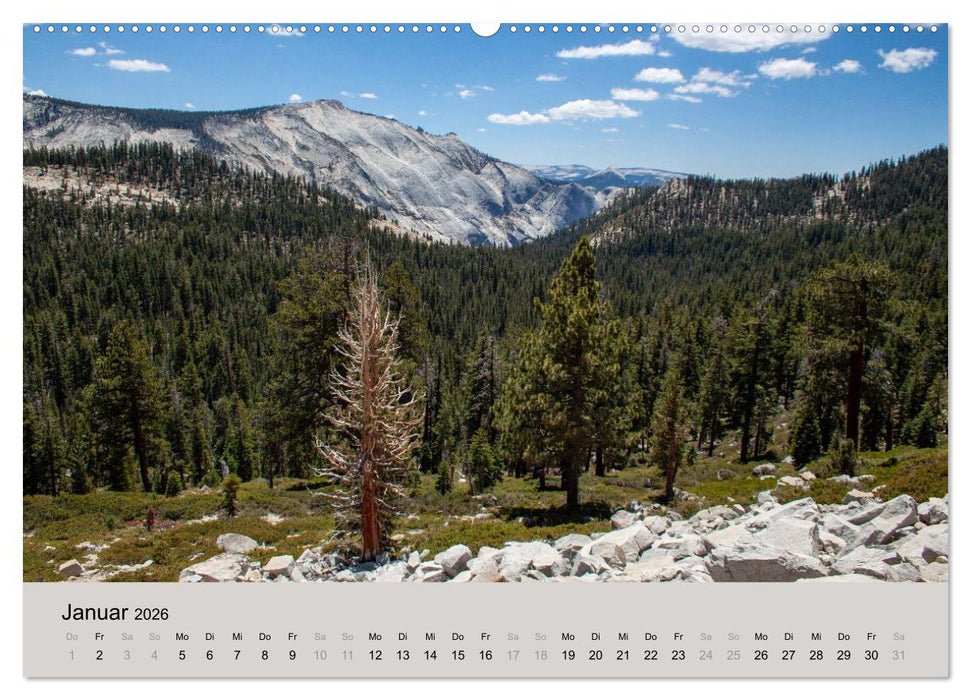 Yosemite, Entlang der Tioga Road (CALVENDO Wandkalender 2026)