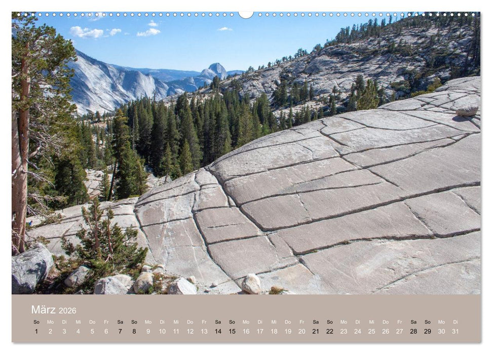 Yosemite, Entlang der Tioga Road (CALVENDO Premium Wandkalender 2026)
