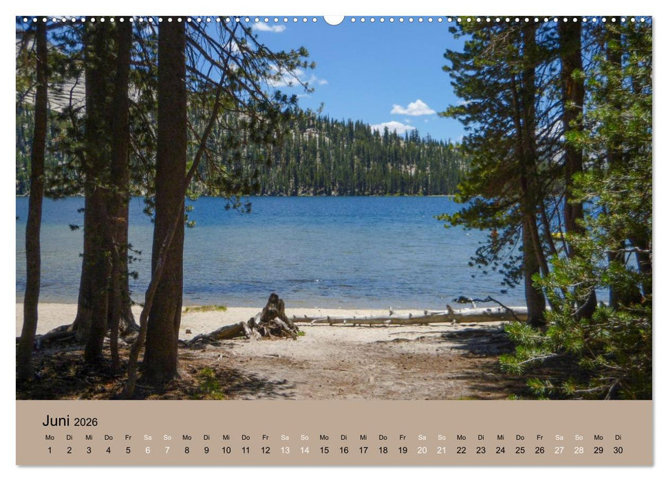 Yosemite, Entlang der Tioga Road (CALVENDO Premium Wandkalender 2026)