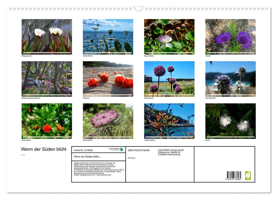 Wenn der Süden blüht ... (CALVENDO Wandkalender 2026)