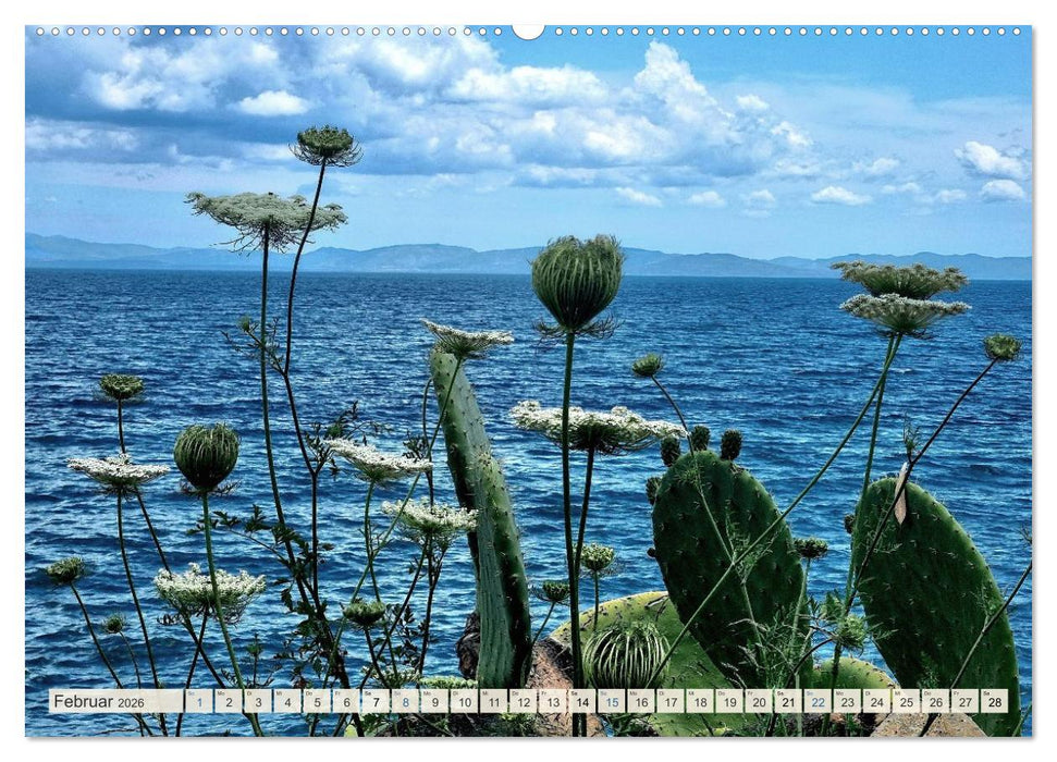 Wenn der Süden blüht ... (CALVENDO Wandkalender 2026)