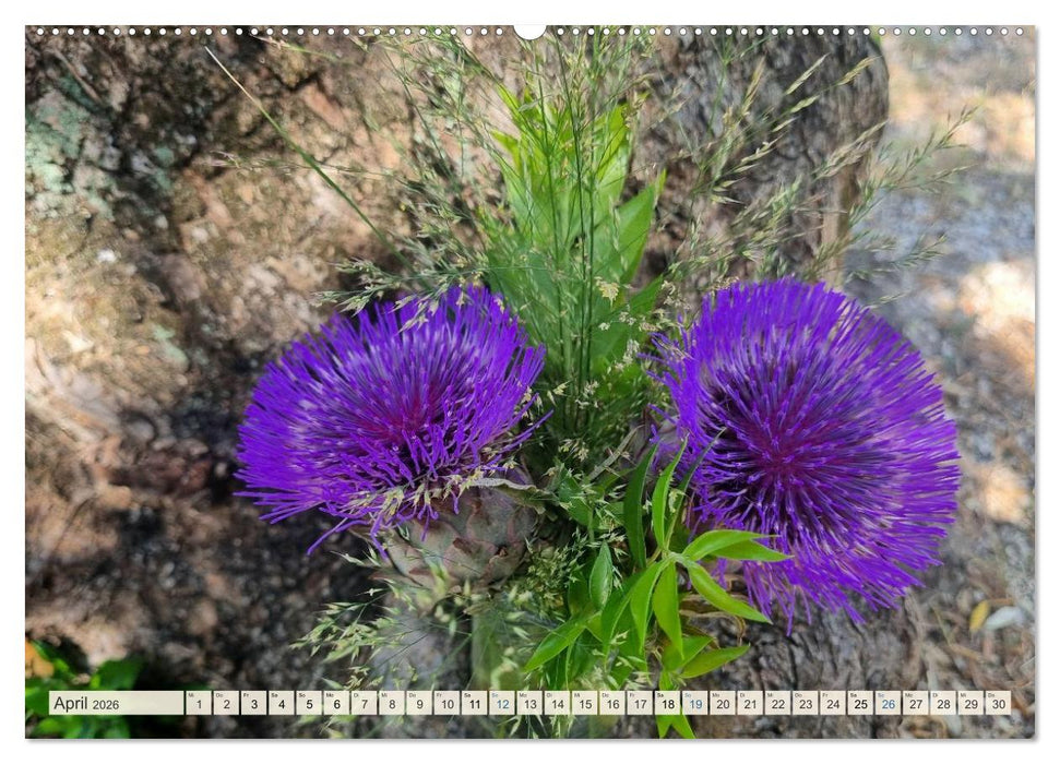 Wenn der Süden blüht ... (CALVENDO Wandkalender 2026)