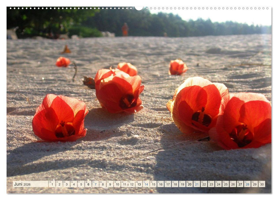 Wenn der Süden blüht ... (CALVENDO Wandkalender 2026)