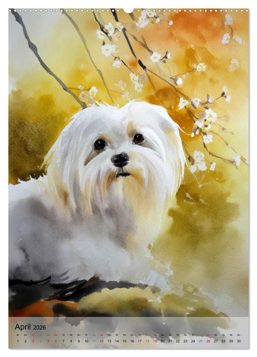 Lieblingshunde (CALVENDO Premium Wandkalender 2026)