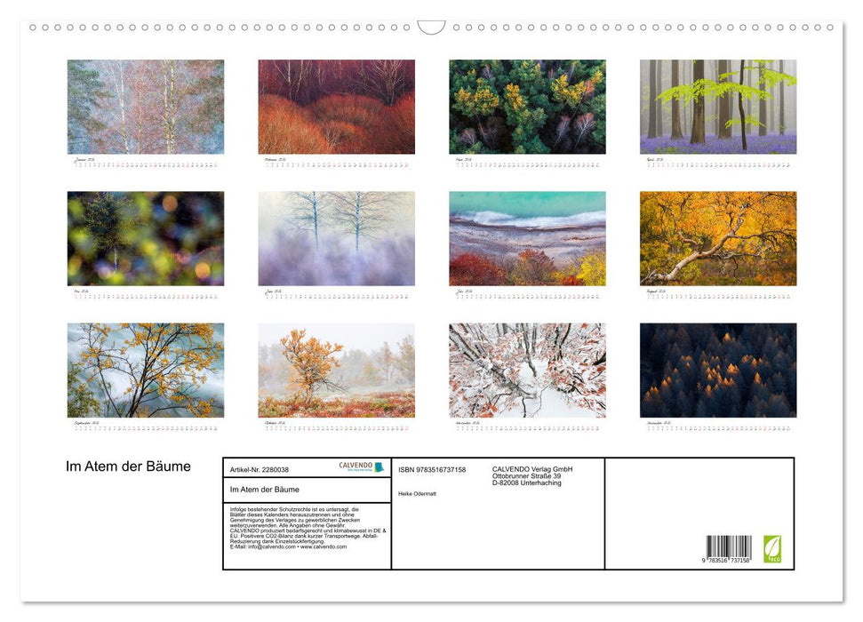 Im Atem der Bäume (CALVENDO Wandkalender 2026)