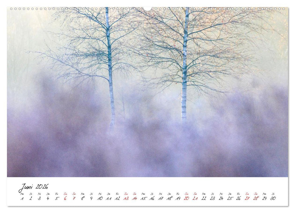 Im Atem der Bäume (CALVENDO Wandkalender 2026)