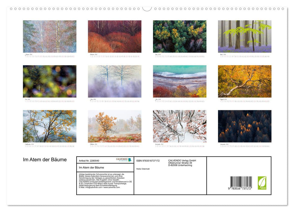Im Atem der Bäume (CALVENDO Premium Wandkalender 2026)