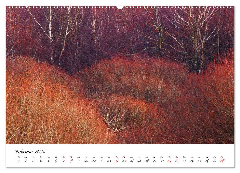Im Atem der Bäume (CALVENDO Premium Wandkalender 2026)
