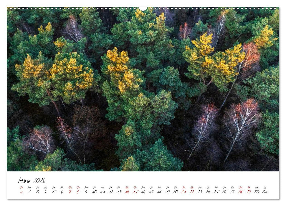 Im Atem der Bäume (CALVENDO Premium Wandkalender 2026)