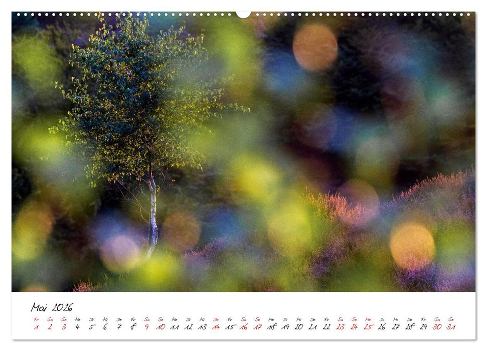Im Atem der Bäume (CALVENDO Premium Wandkalender 2026)